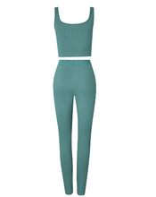 Load image into Gallery viewer, 2 Piece Set Gym Active Wear
