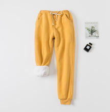 將圖片載入圖庫檢視器 Winter Women Long Trousers Warm Thick Lamb Cashmere Harem Pants
